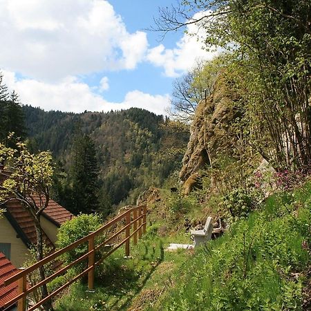 Vila Haus Am Waldrand Triberg im Schwarzwald Exteriér fotografie