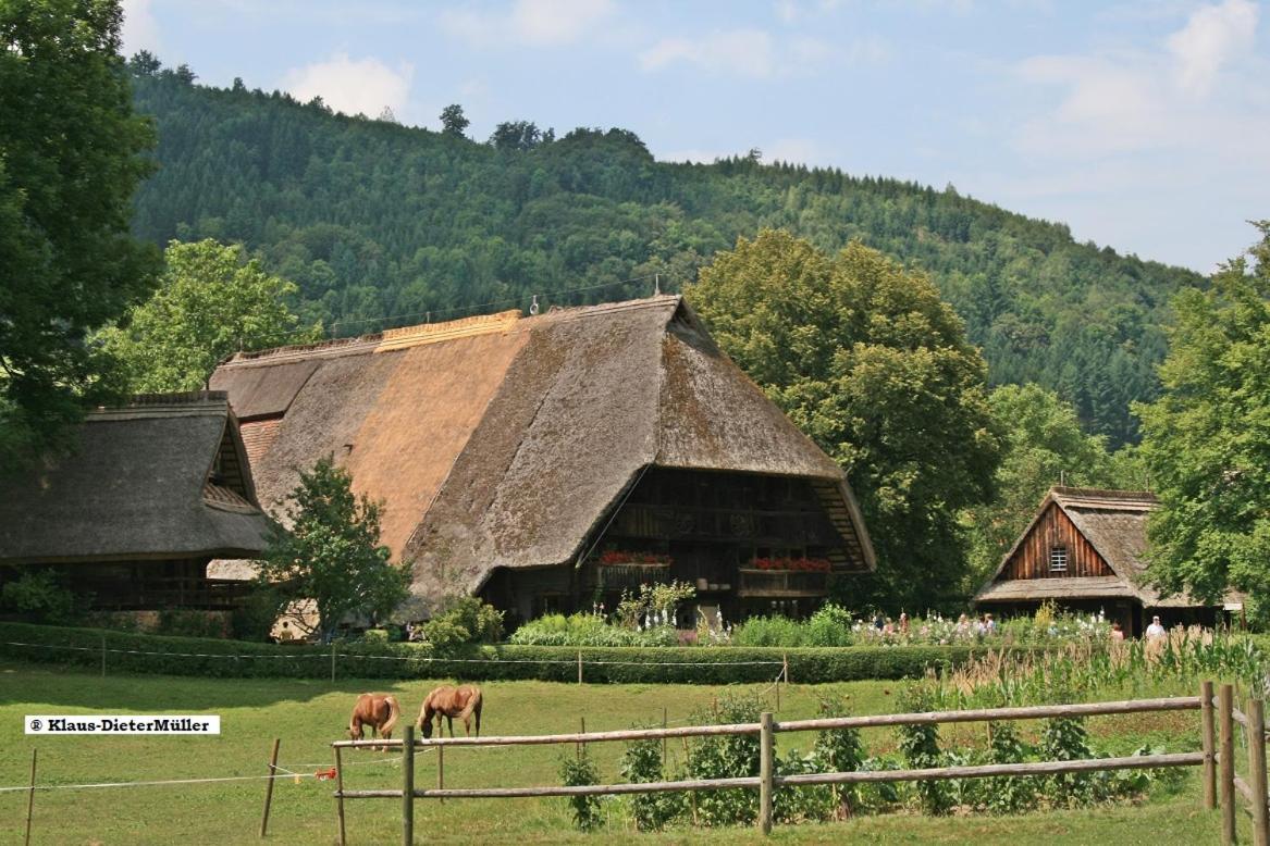 Vila Haus Am Waldrand Triberg im Schwarzwald Exteriér fotografie