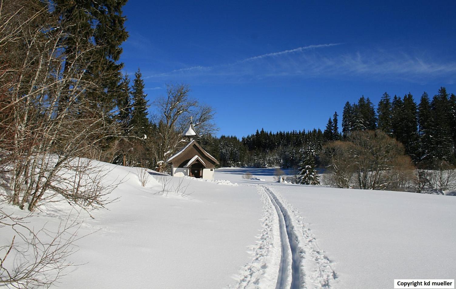 Vila Haus Am Waldrand Triberg im Schwarzwald Exteriér fotografie