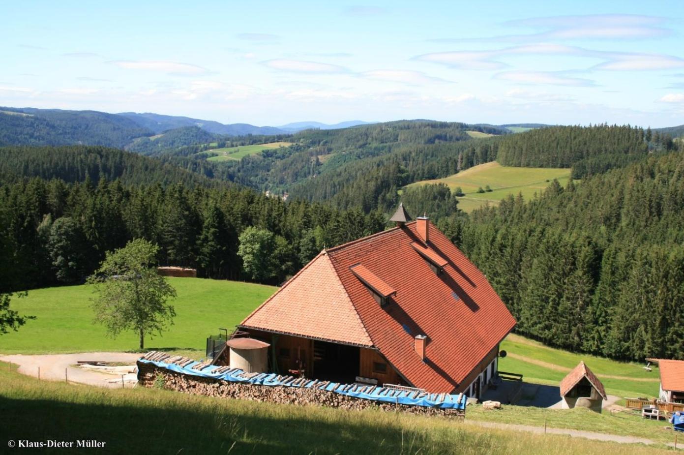 Vila Haus Am Waldrand Triberg im Schwarzwald Exteriér fotografie