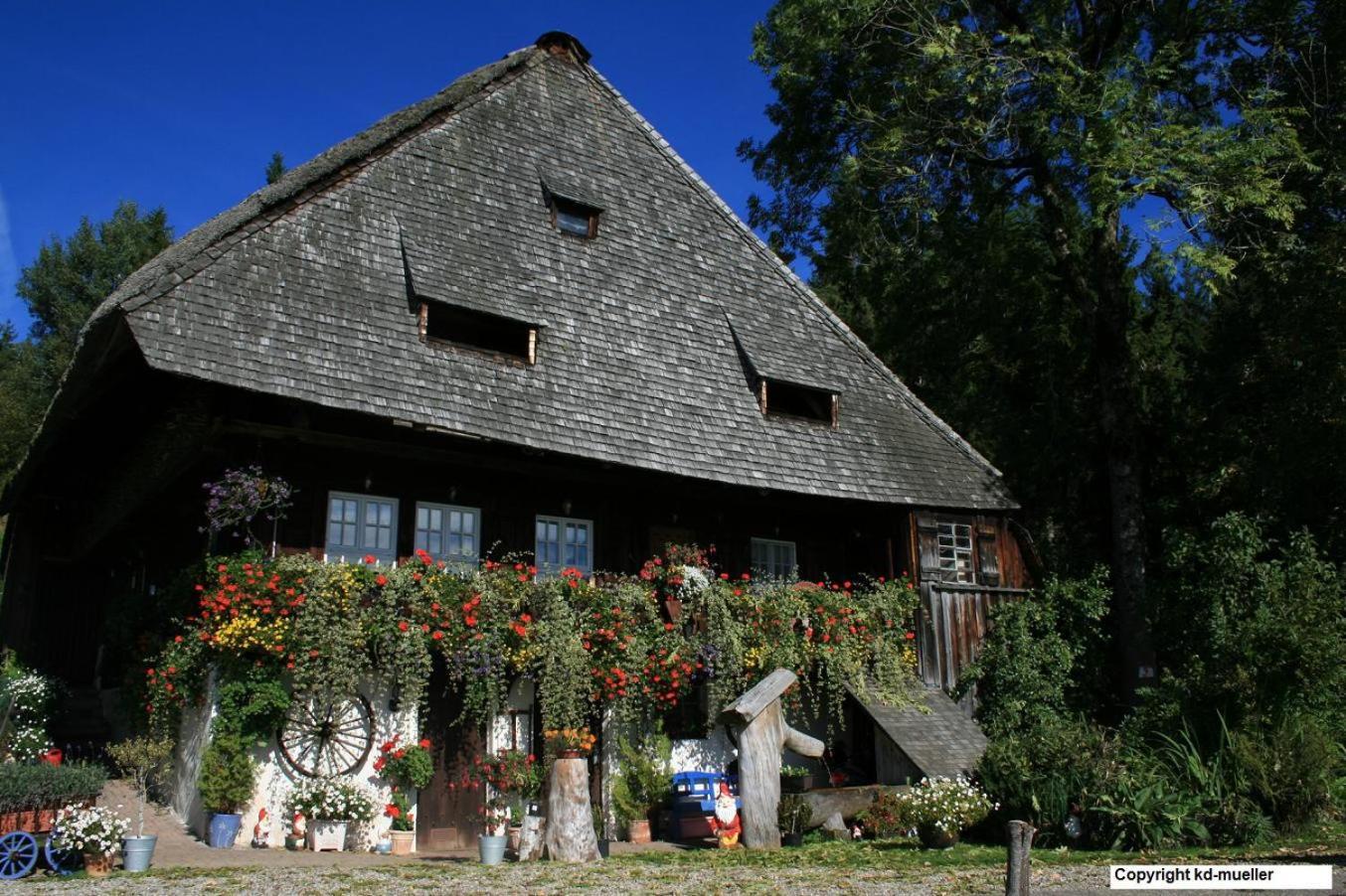 Vila Haus Am Waldrand Triberg im Schwarzwald Exteriér fotografie