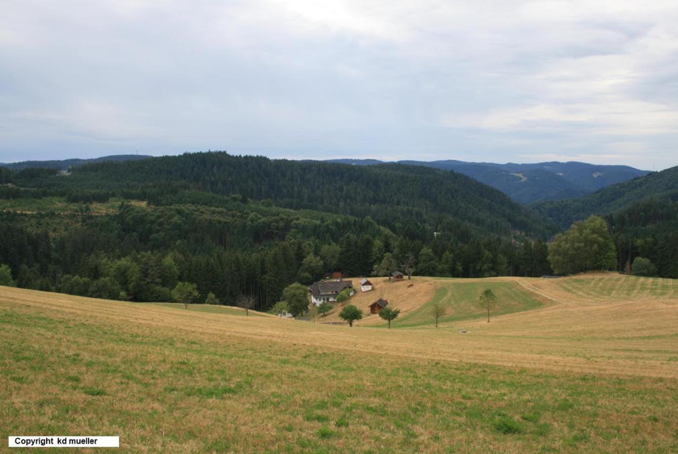 Vila Haus Am Waldrand Triberg im Schwarzwald Exteriér fotografie