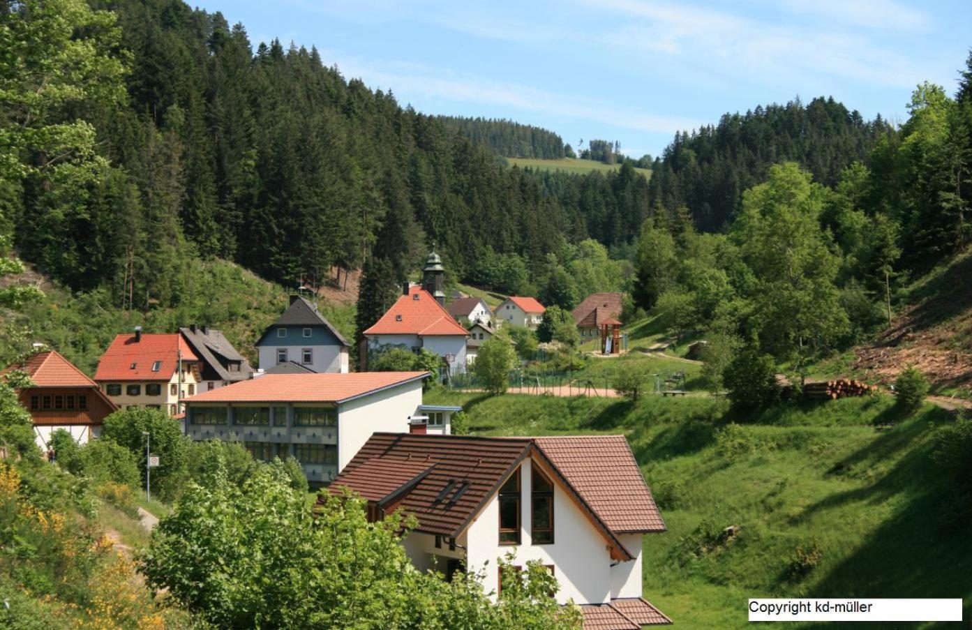 Vila Haus Am Waldrand Triberg im Schwarzwald Exteriér fotografie