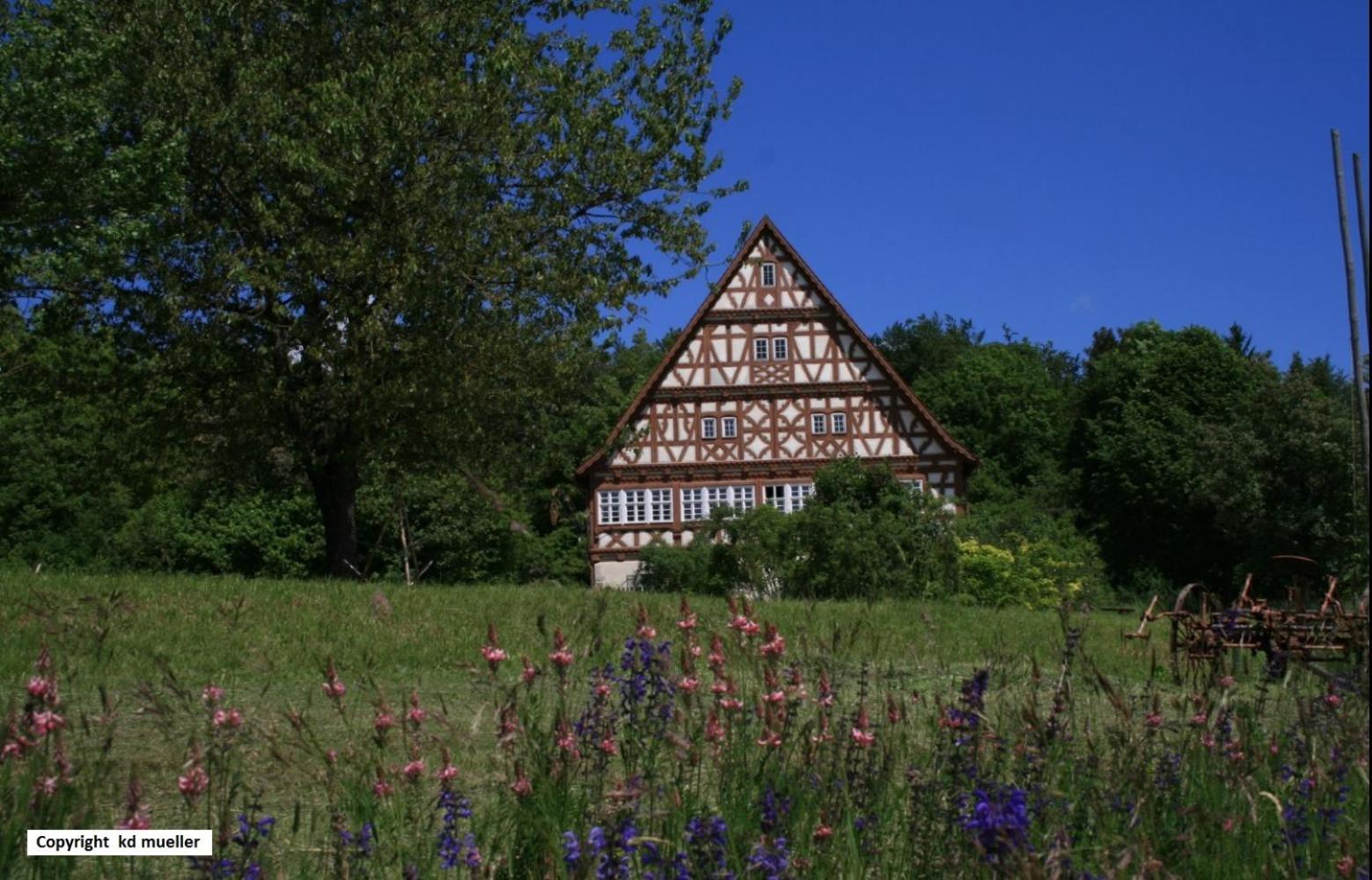Vila Haus Am Waldrand Triberg im Schwarzwald Exteriér fotografie