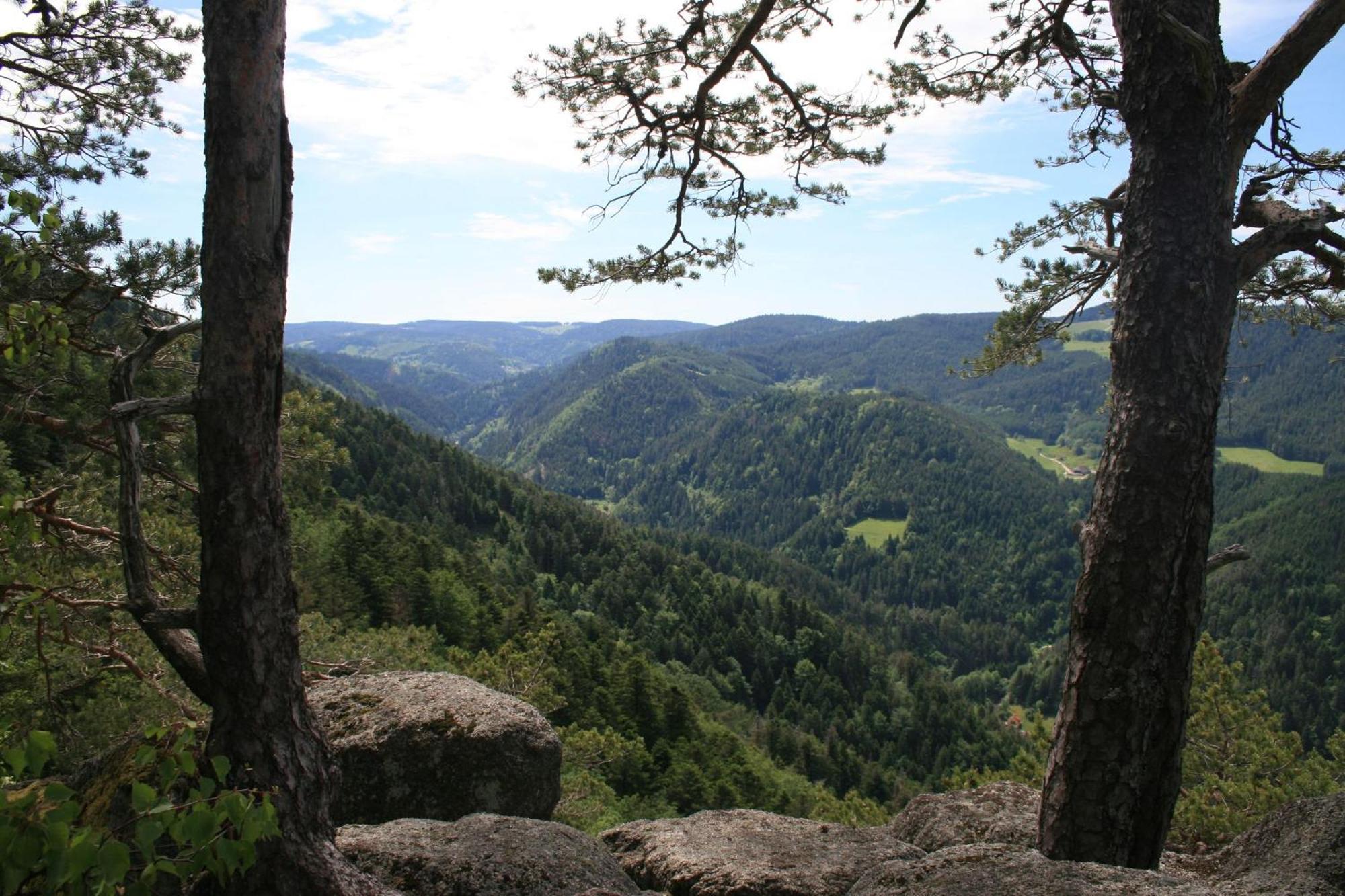 Vila Haus Am Waldrand Triberg im Schwarzwald Exteriér fotografie