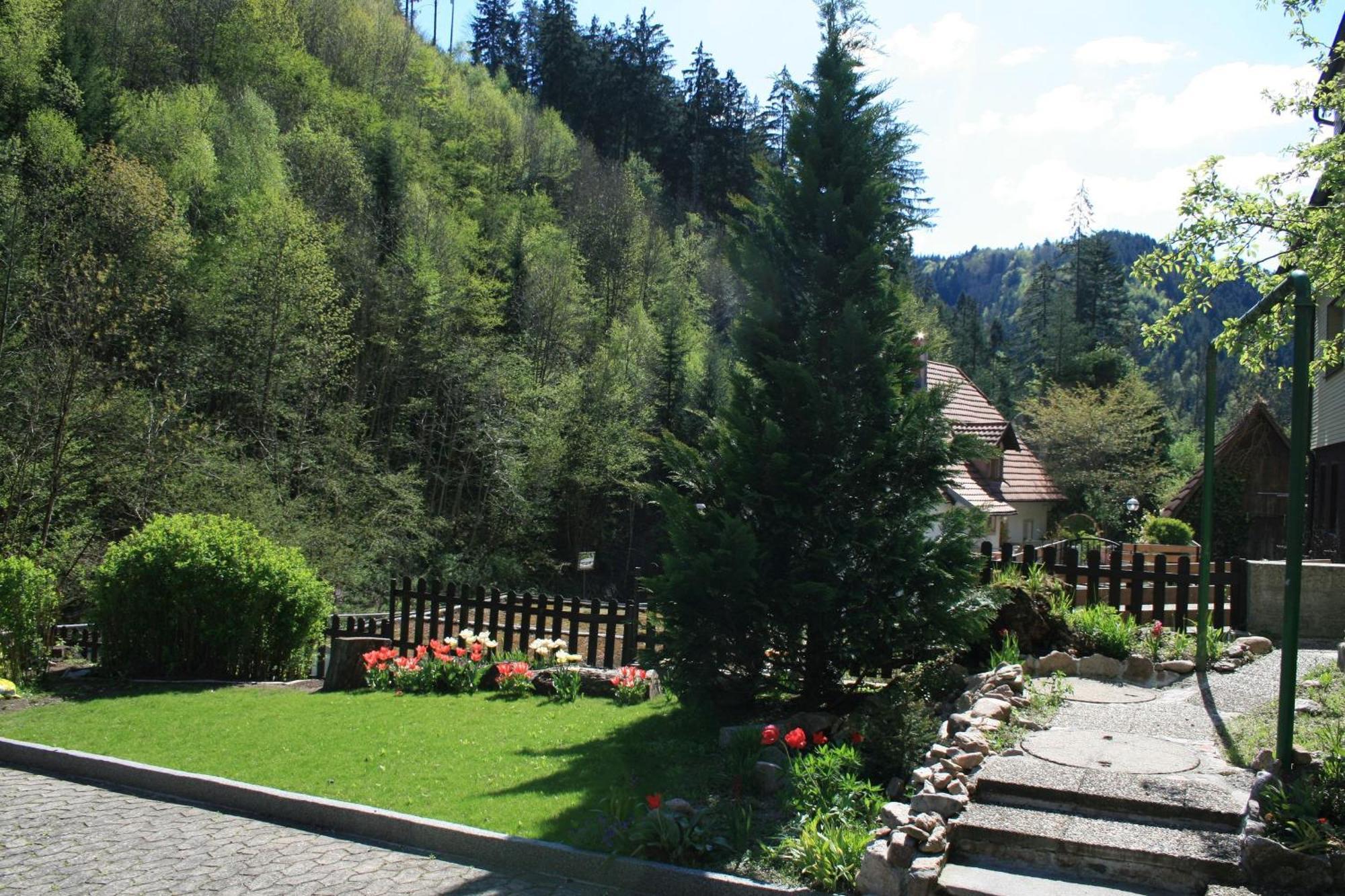 Vila Haus Am Waldrand Triberg im Schwarzwald Exteriér fotografie