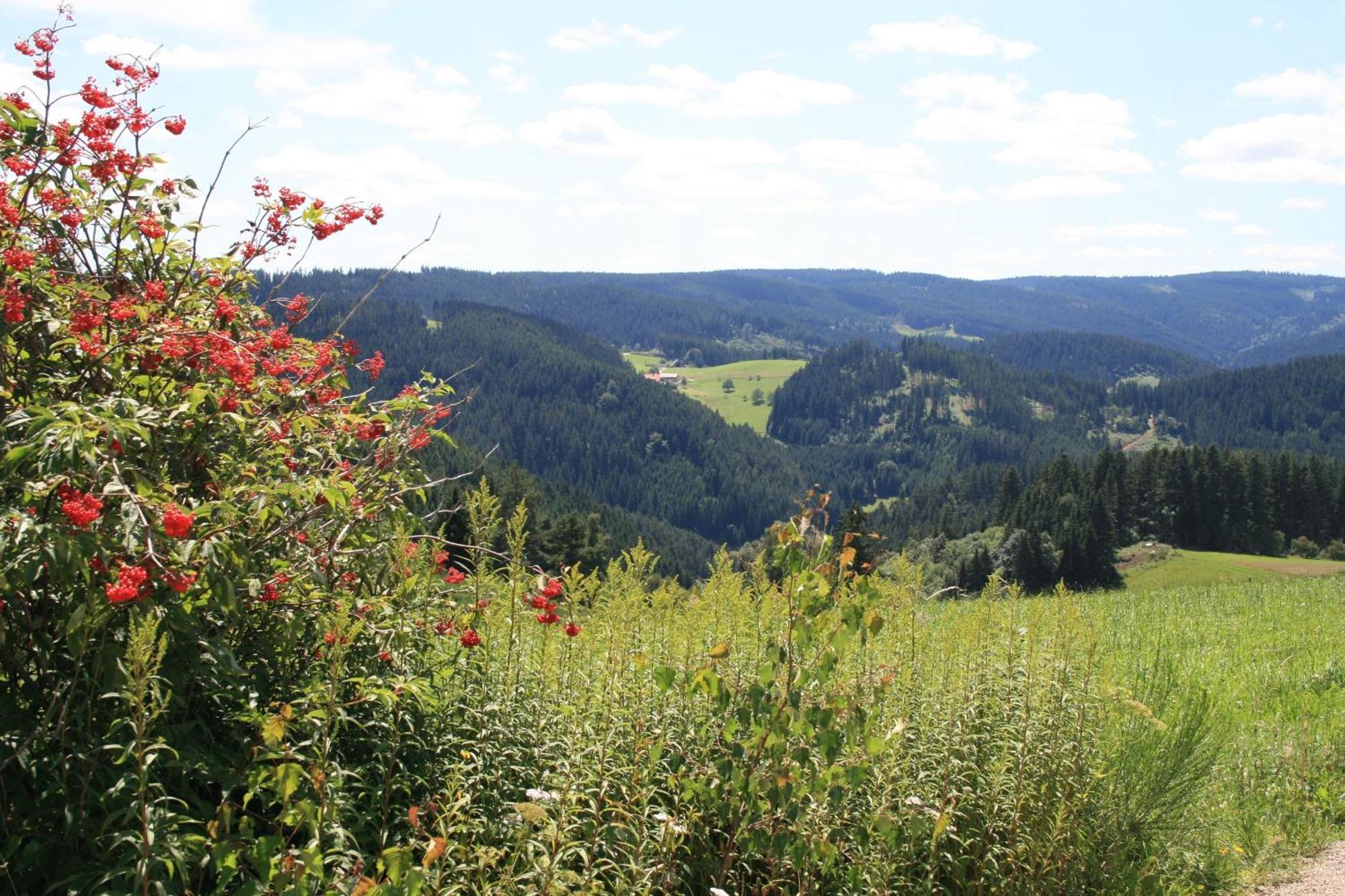 Vila Haus Am Waldrand Triberg im Schwarzwald Exteriér fotografie